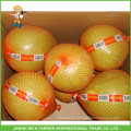 Proveedor de Pomelo de miel fresca china